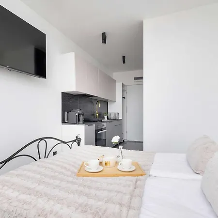 Reymonta 24 Z Pieknym Widokiem Na By Renters