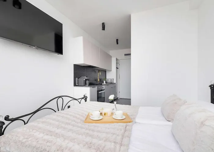 Reymonta 24 Z Pieknym Widokiem Na By Renters